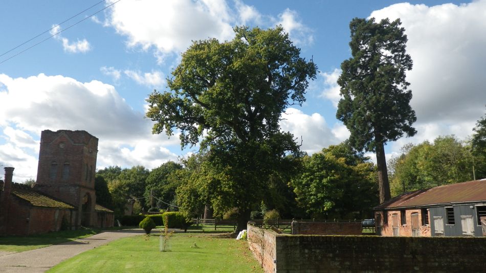 2017-10-05 27 Wensum Group at Brome Street and Eye.jpg