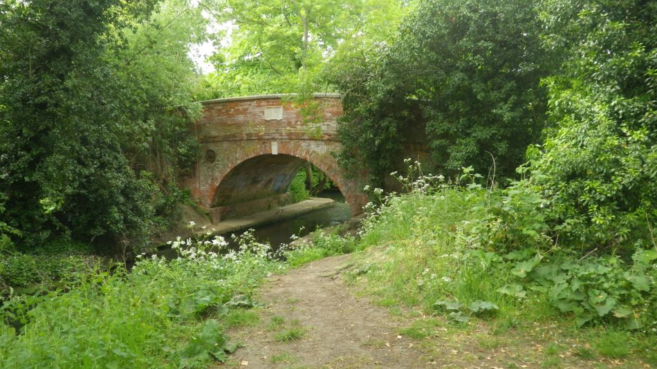 2020-05-19 01 Eye and Brome Street.jpg