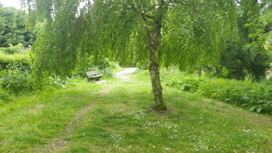 2020-05-19 02 Eye and Brome Street.jpg