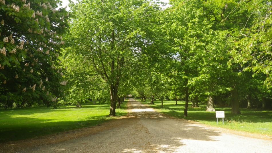 2020-05-19 05 Eye and Brome Street.jpg