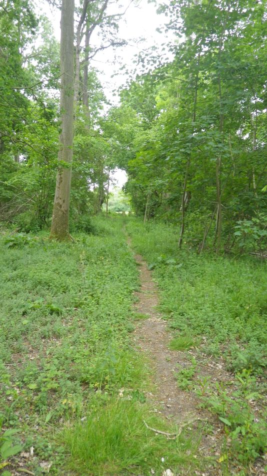 2020-05-24 05 Eye and Braisworth.jpg