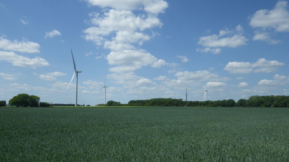 2020-05-25 05 Eye and Denham Street.jpg