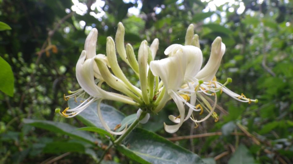 2020-05-25 08 Eye and Denham Street.jpg