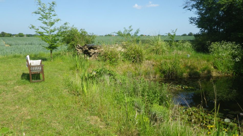 2020-05-25 09 Eye and Denham Street.jpg