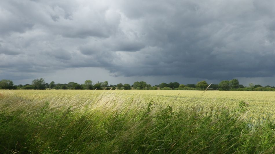 2020-07-06 03 Eye Redlingfield Occold.jpg