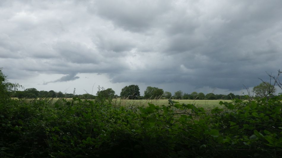 2020-07-06 04 Eye Redlingfield Occold.jpg