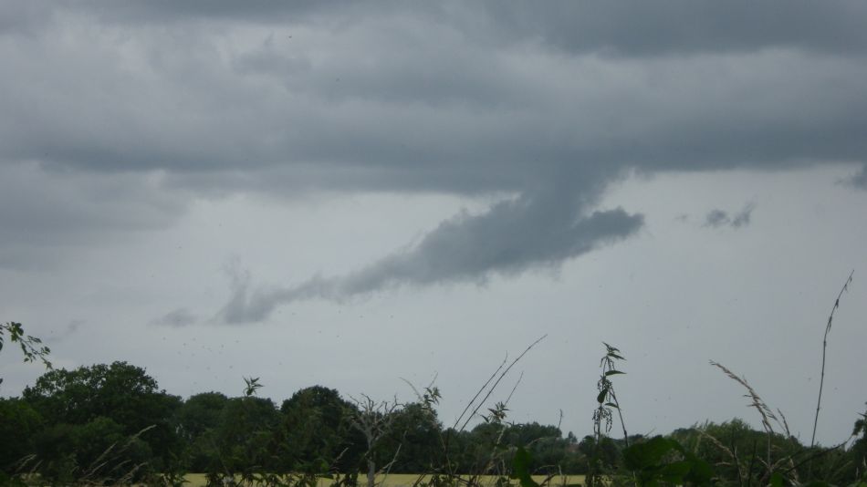 2020-07-06 05 Eye Redlingfield Occold.jpg