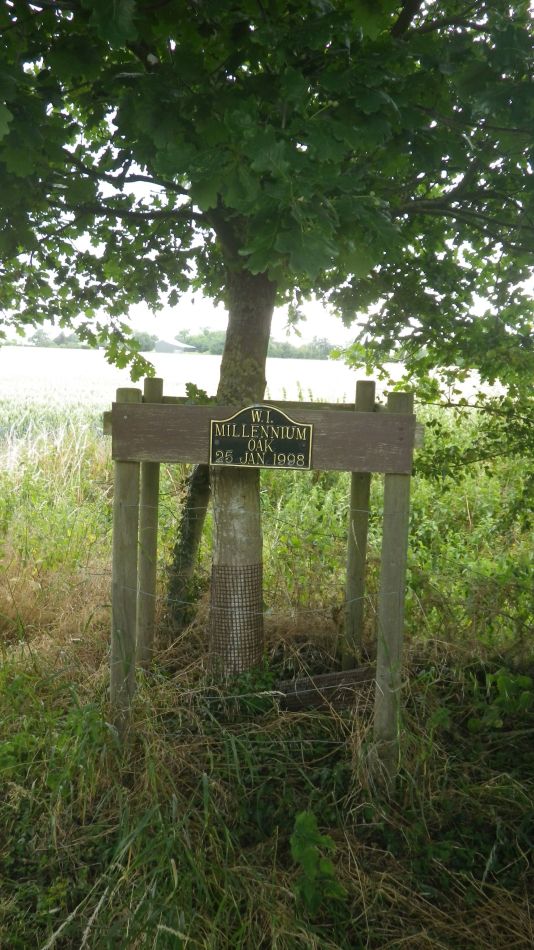 2020-07-06 13 Eye Redlingfield Occold.jpg