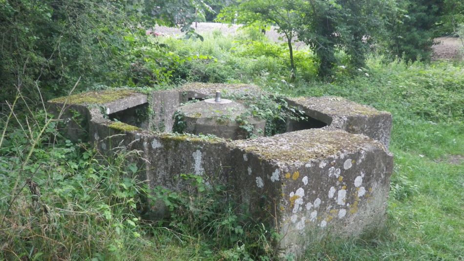 2020-07-06 16 Eye Redlingfield Occold.jpg