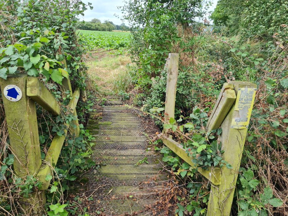 2023-07-23 01 Eye and Denham Street.jpg