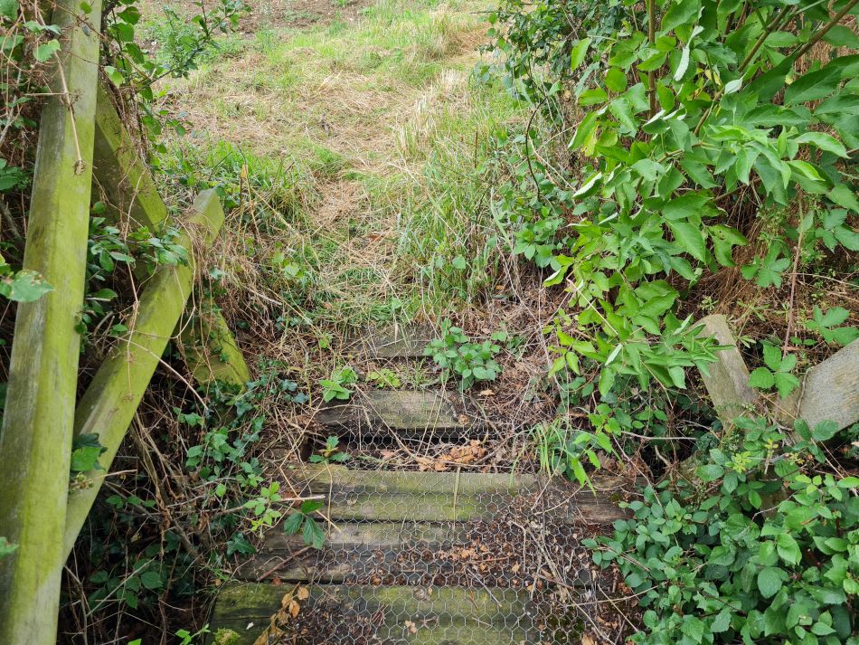 2023-07-23 02 Eye and Denham Street.jpg