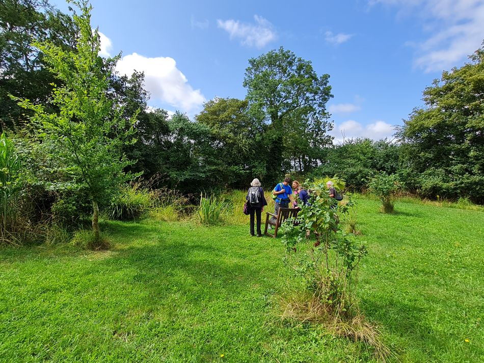 2023-07-23 03 Eye and Denham Street.jpg