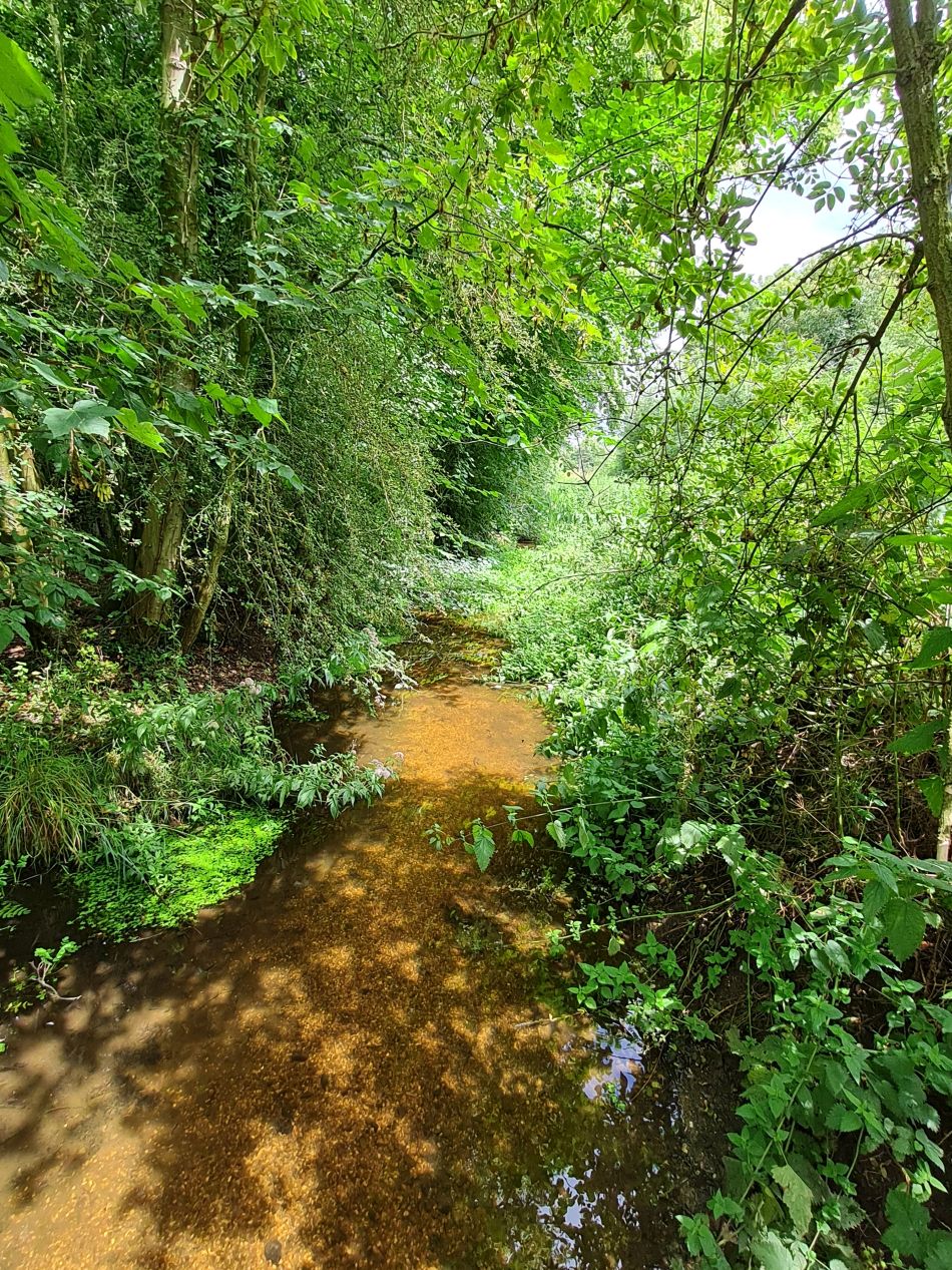 2023-07-23 07 Eye and Denham Street.jpg