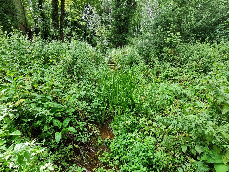 2023-07-23 08 Eye and Denham Street.jpg