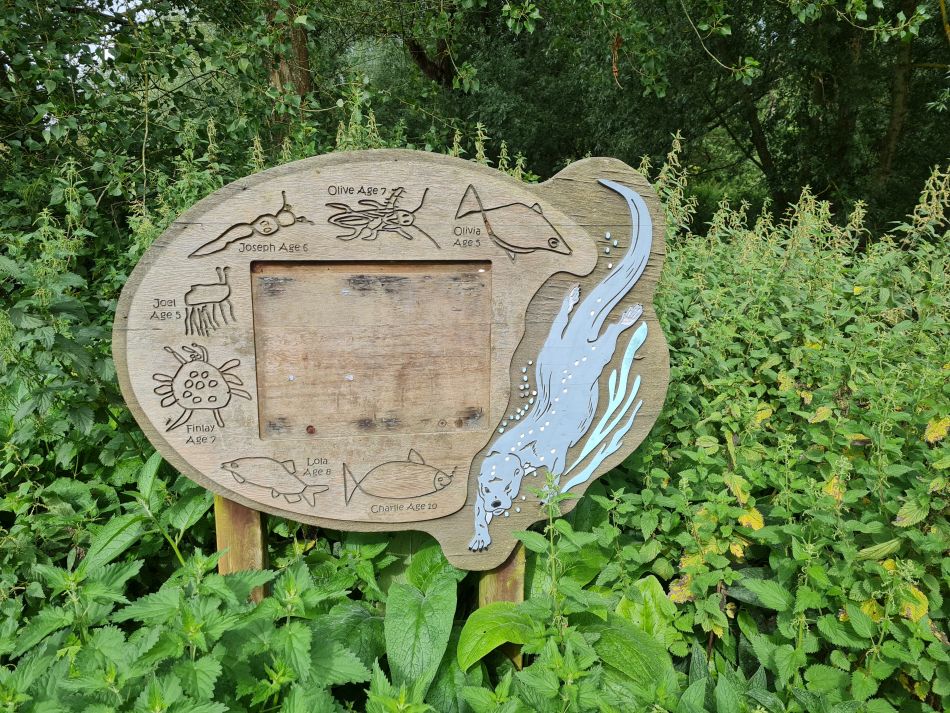 2023-08-13 02 Eye Brome Oakley.jpg