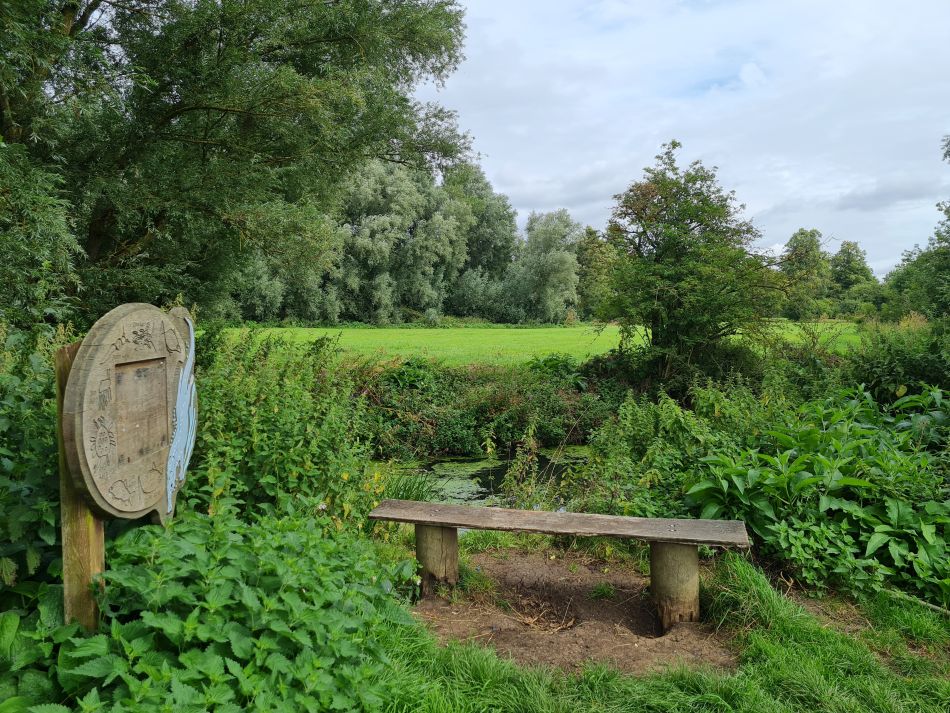 2023-08-13 03 Eye Brome Oakley.jpg