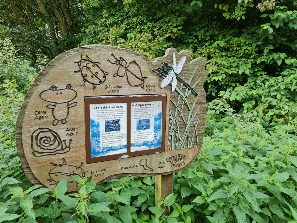 2023-08-13 04 Eye Brome Oakley.jpg