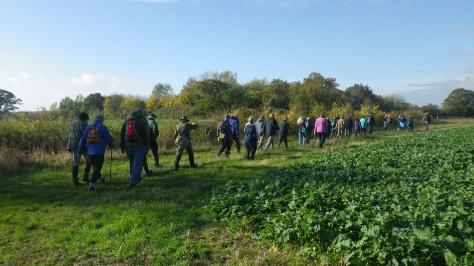 2019-11-06 02 Shadingfield.jpg