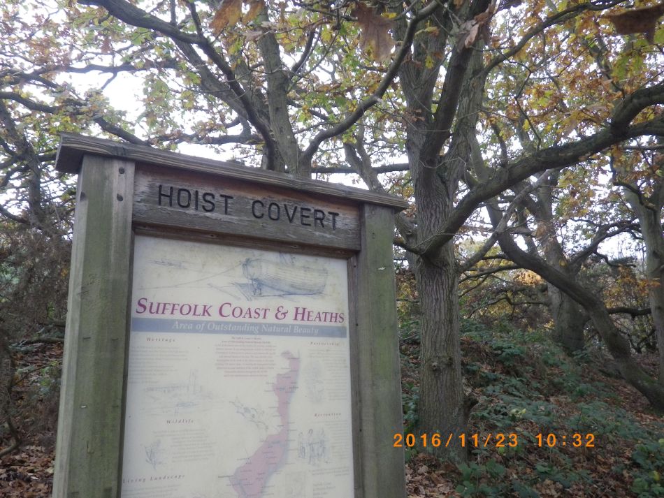 2016-11-23 01 Walberswick.jpg