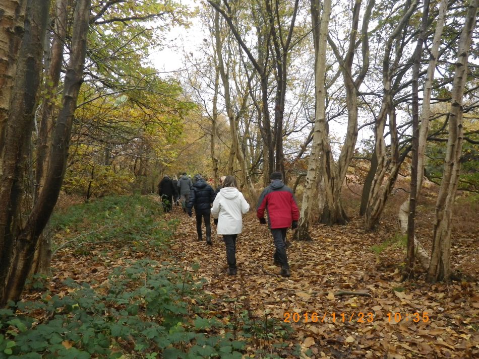 2016-11-23 02 Walberswick.jpg