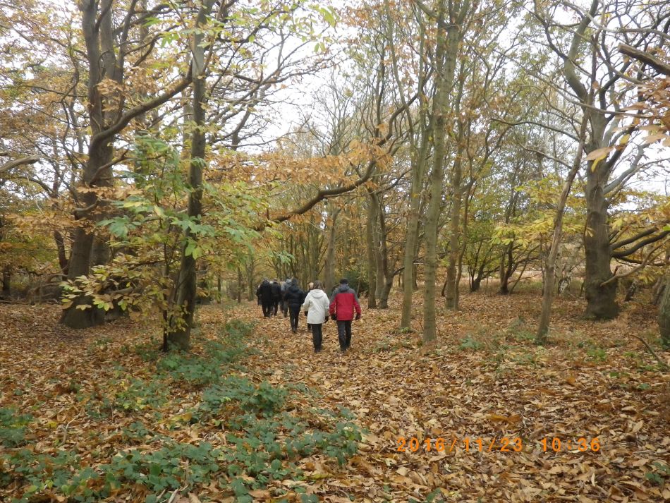 2016-11-23 03 Walberswick.jpg