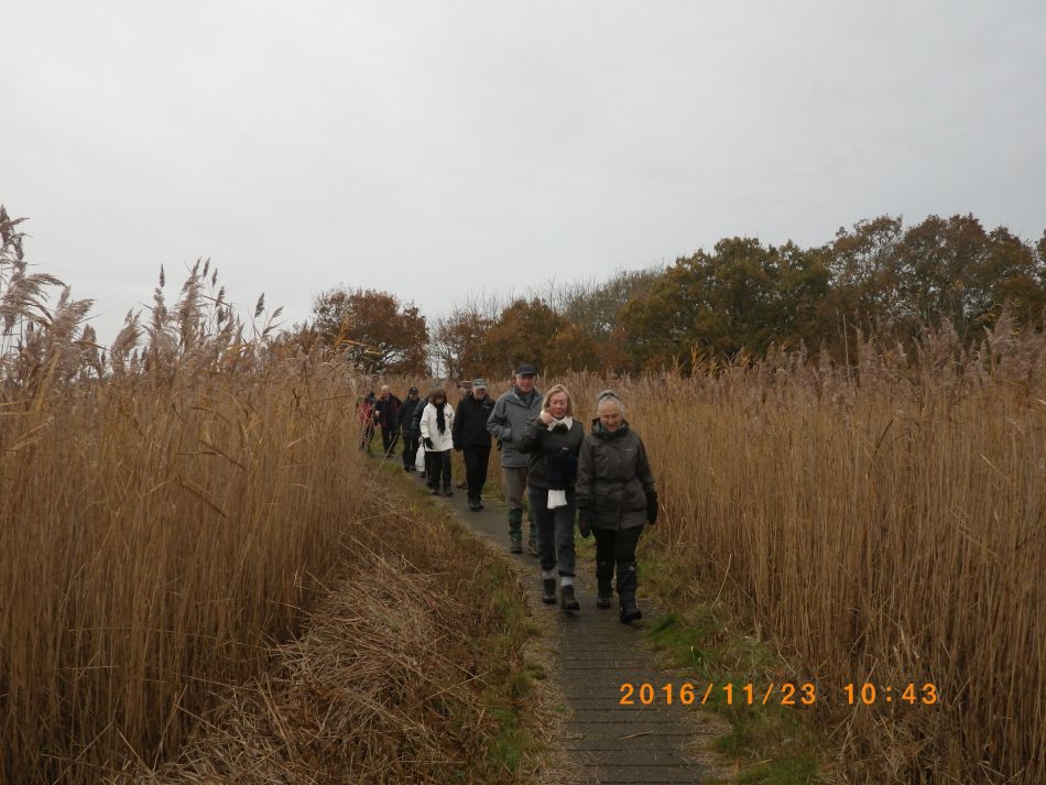 2016-11-23 04 Walberswick.jpg