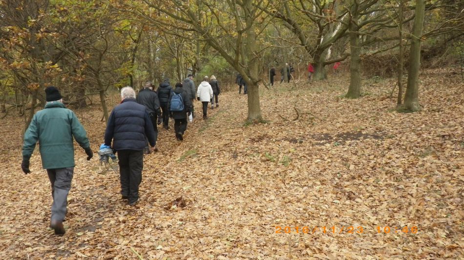 2016-11-23 05 Walberswick.jpg