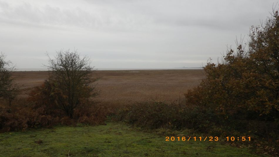 2016-11-23 06 Walberswick.jpg