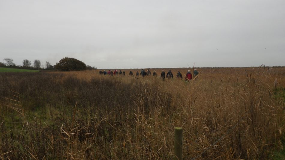 2016-11-23 09 Walberswick.jpg