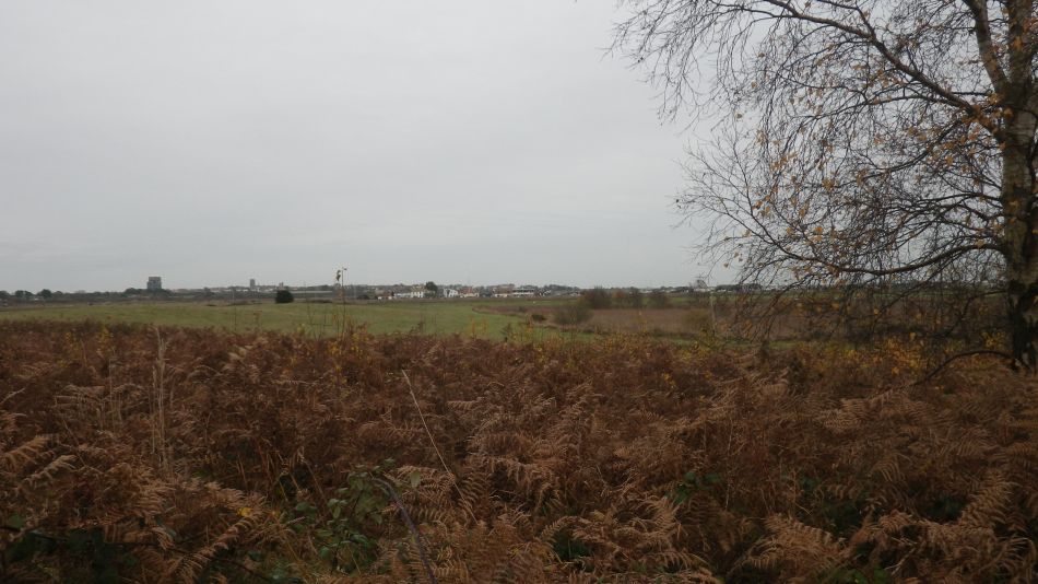 2016-11-23 11 Walberswick.jpg