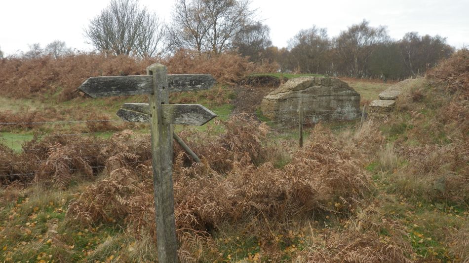 2016-11-23 14 Walberswick.jpg