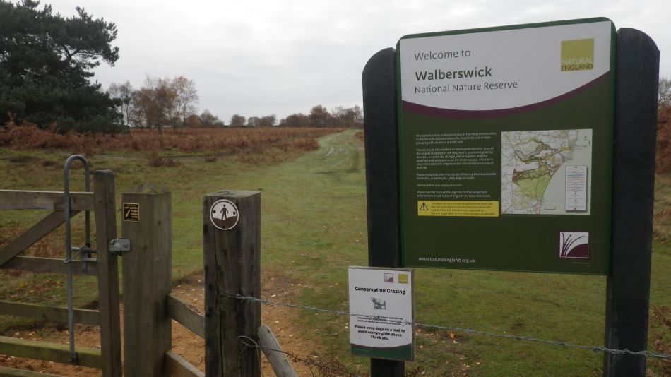 2016-11-23 15 Walberswick.jpg