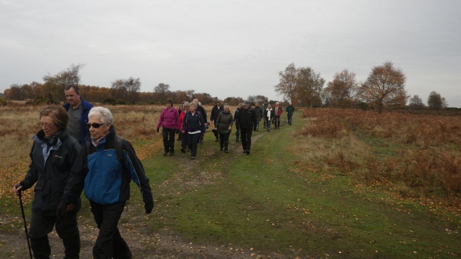 2016-11-23 16 Walberswick.jpg