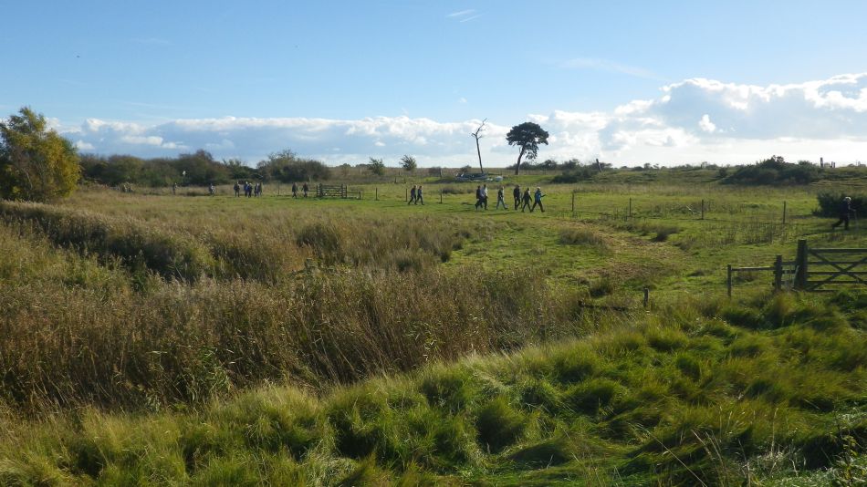 2018-10-31 02 Walberswick and Tinkers Marsh.jpg