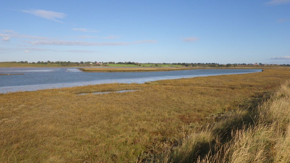 2018-10-31 04 Walberswick and Tinkers Marsh.jpg
