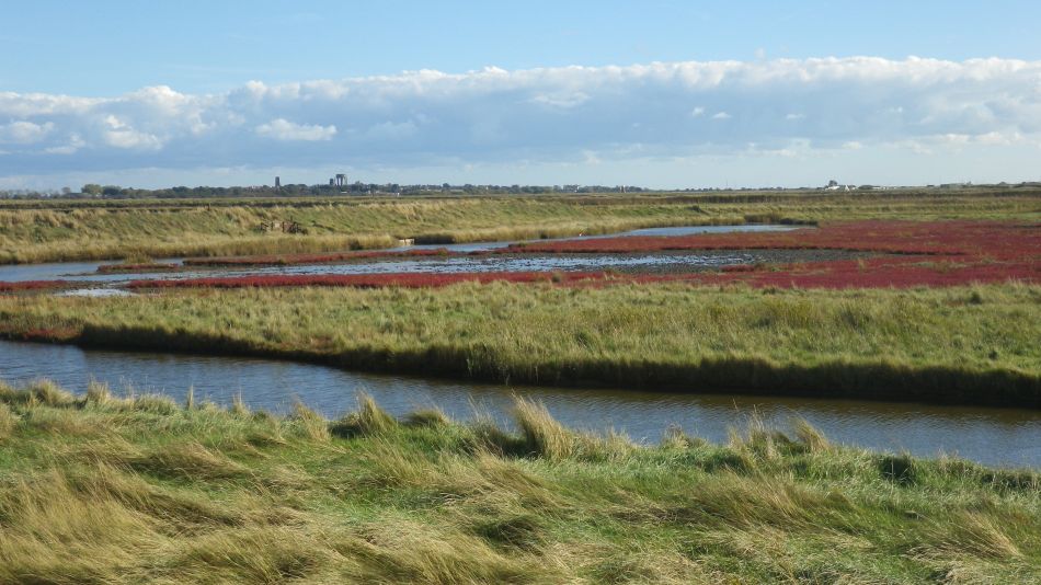 2018-10-31 05 Walberswick and Tinkers Marsh.jpg