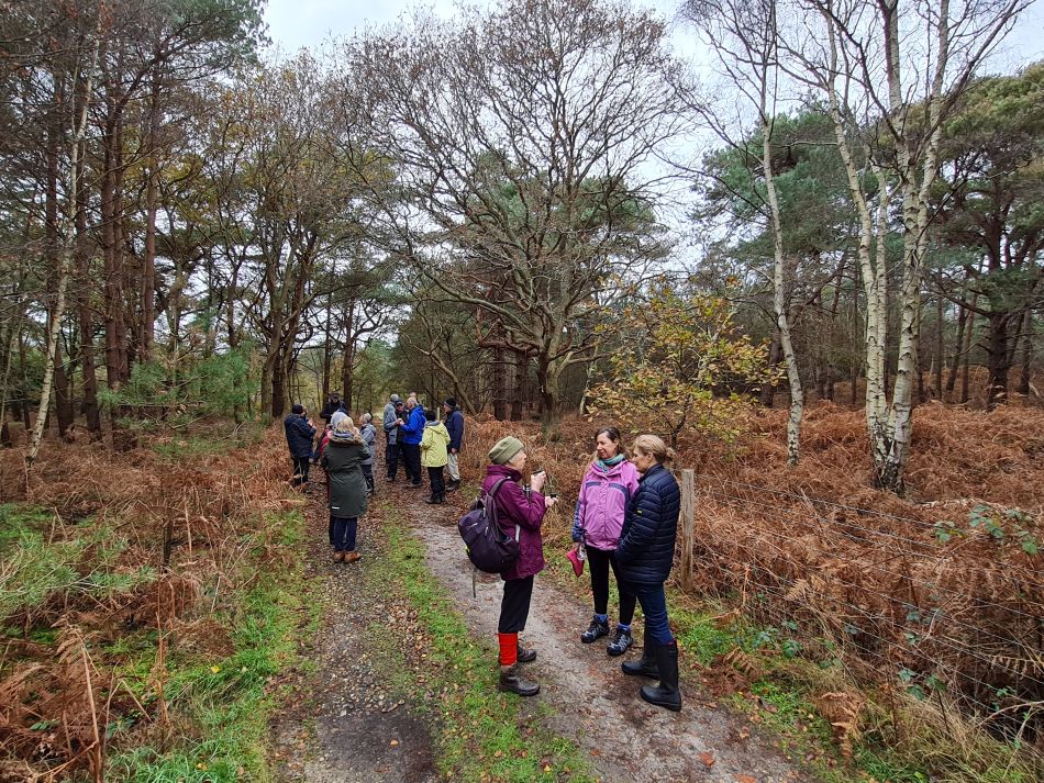 2022-12-21 05 Walberswick.jpg