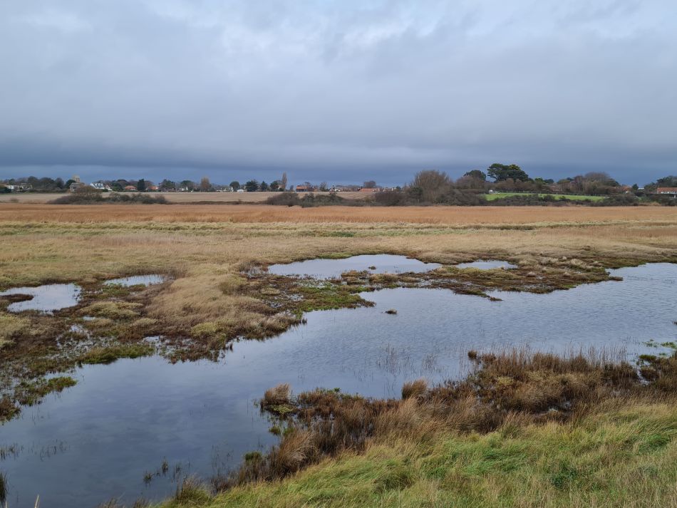 2022-12-21 08 Walberswick.jpg