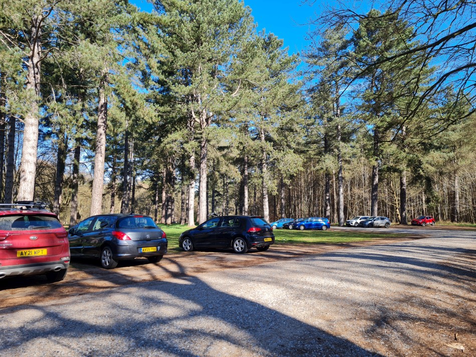 2022-04-03 01 Angles Way 3 - Kings Forest.jpg