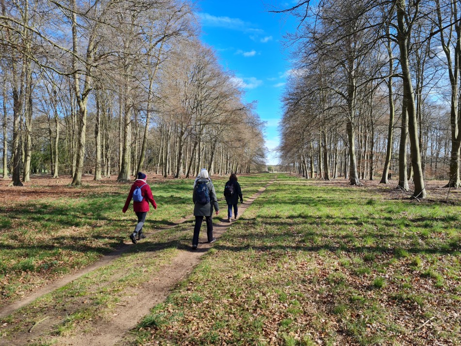 2022-04-03 03 Angles Way 3 - Kings Forest.jpg