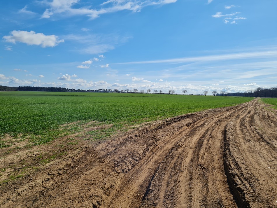 2022-04-03 07 Angles Way 3 - Kings Forest.jpg