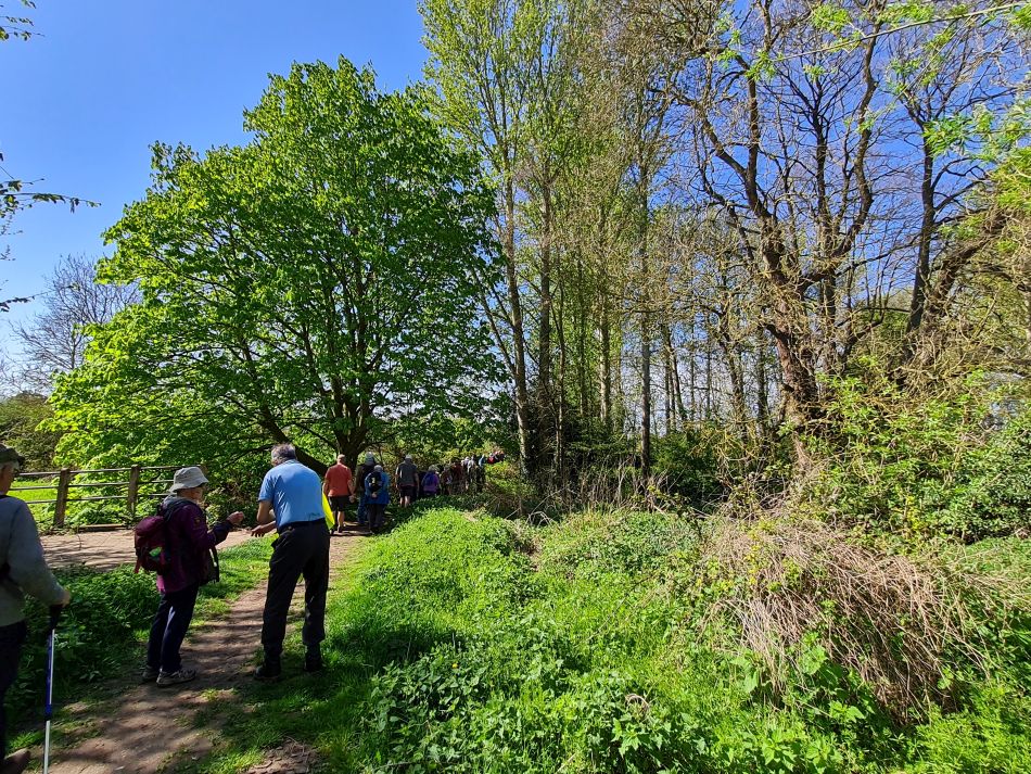 2022-04-21 05 Wensum at Hempnall.jpg