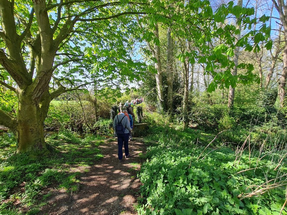 2022-04-21 06 Wensum at Hempnall.jpg