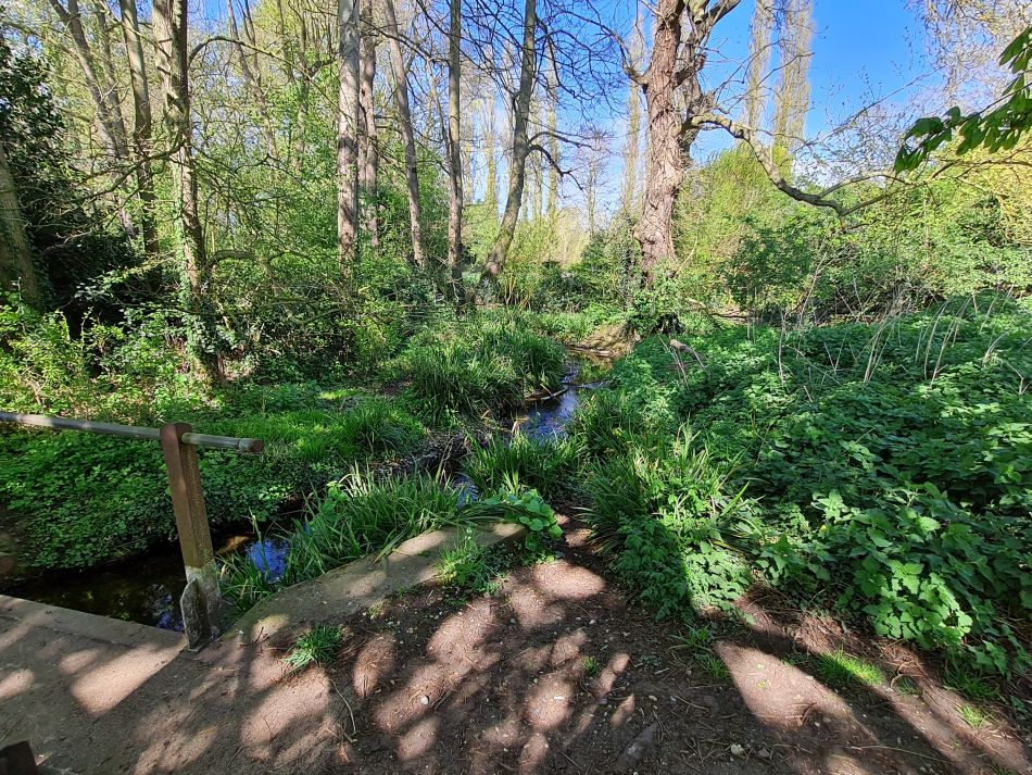 2022-04-21 07 Wensum at Hempnall.jpg