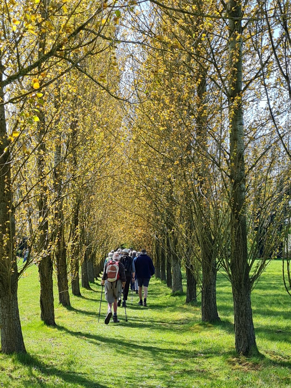 2022-04-21 22 Wensum at Hempnall.jpg