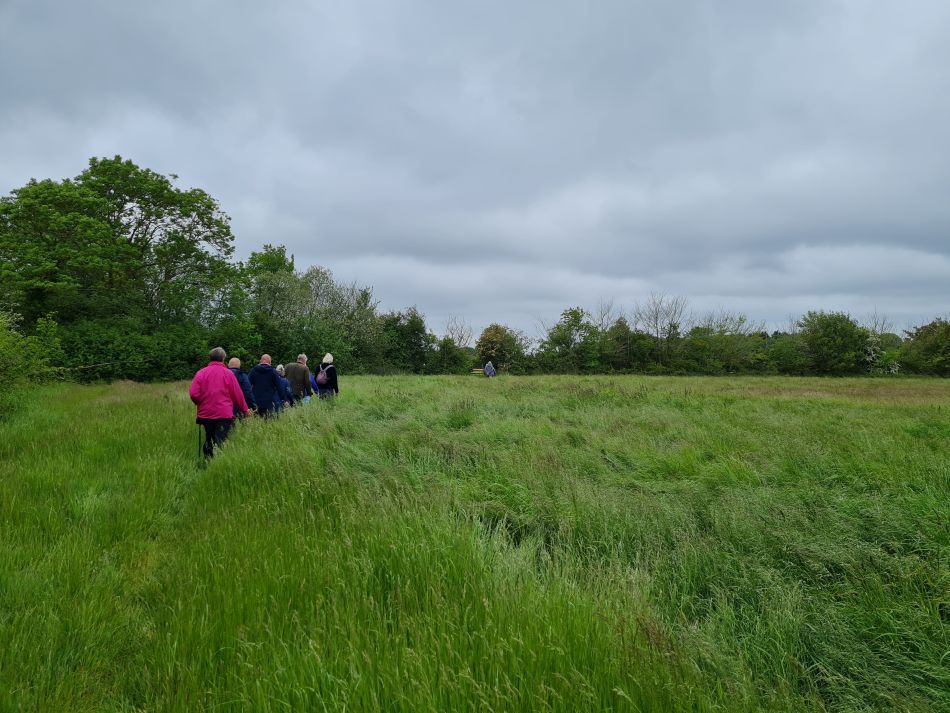 2023-05-31 06 Hempnall.jpg