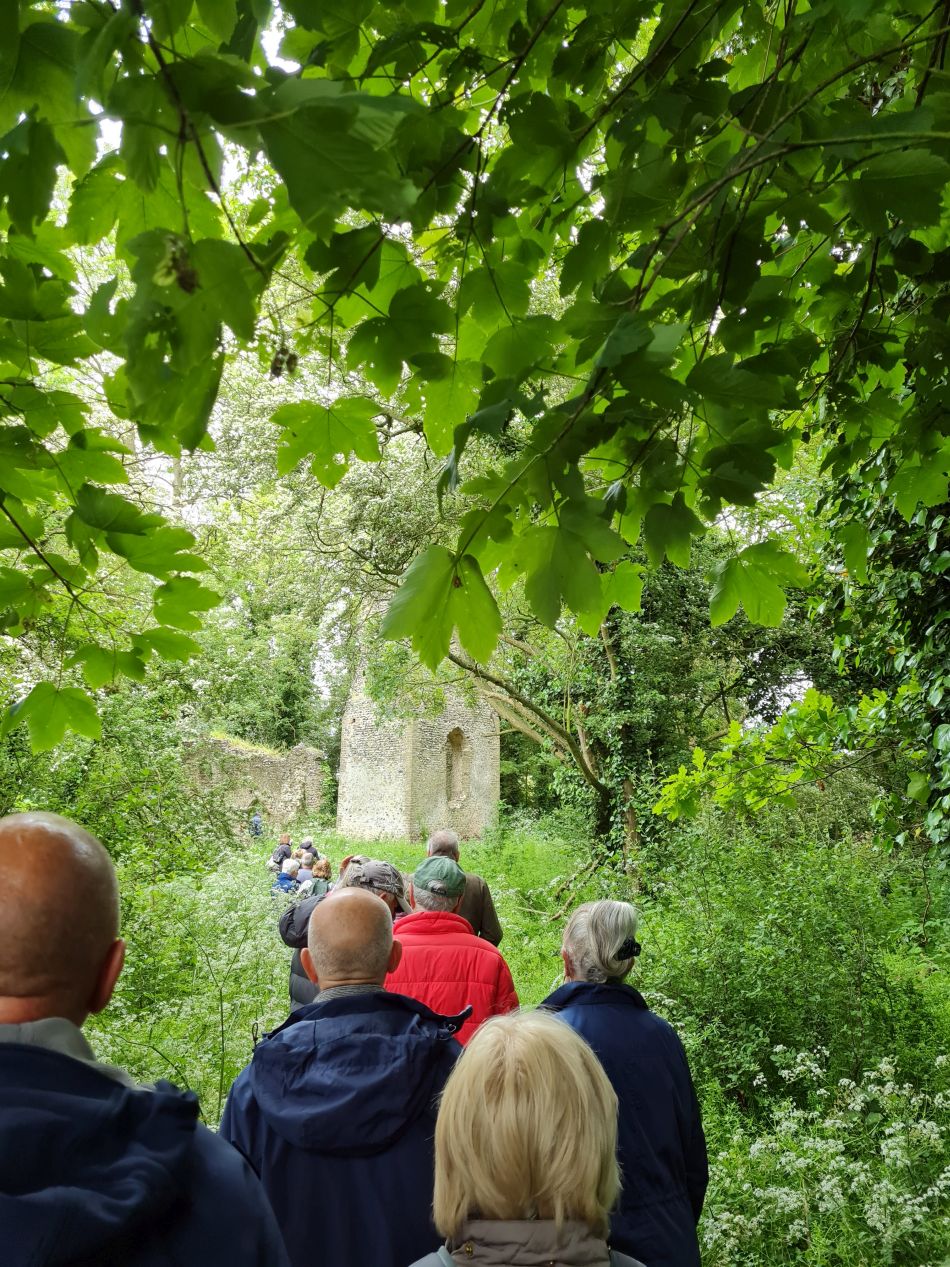 2023-05-31 08 Hempnall.jpg