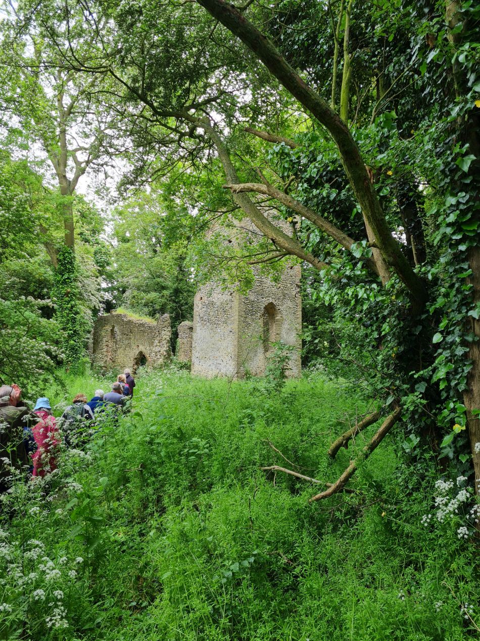 2023-05-31 09 Hempnall.jpg