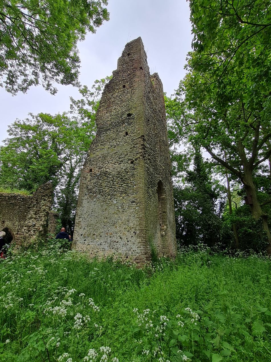 2023-05-31 11 Hempnall.jpg