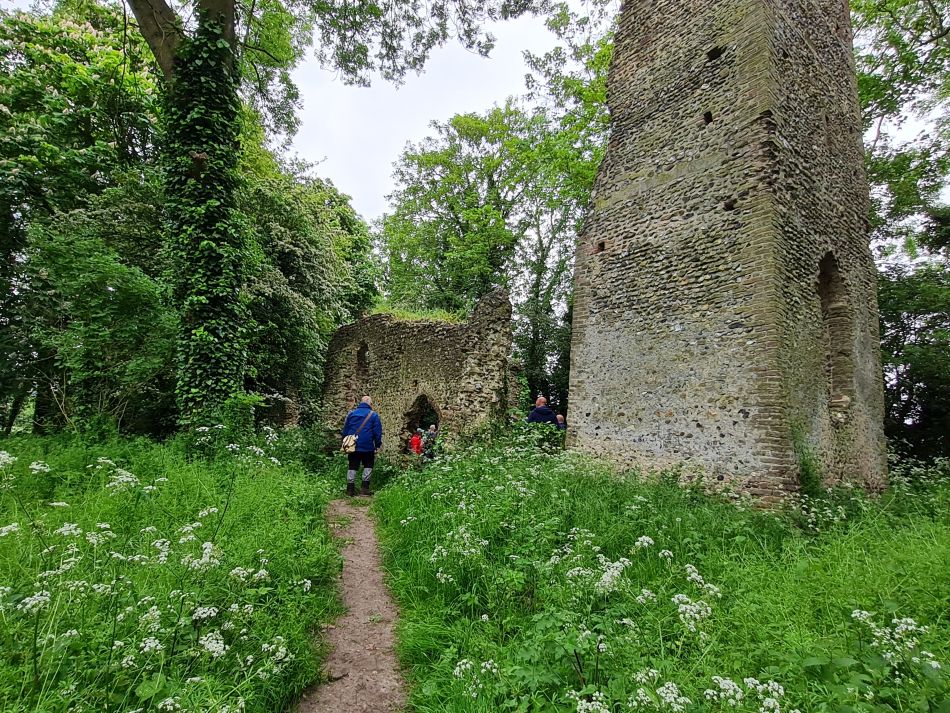 2023-05-31 12 Hempnall.jpg